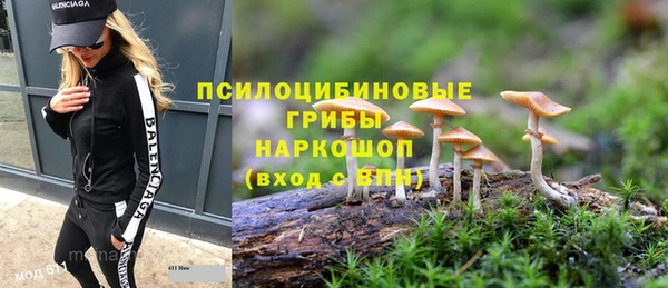 дживик Алзамай