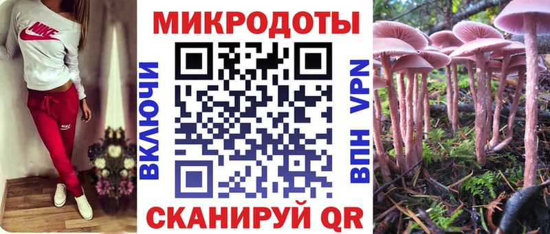 Галлюциногенные грибы мицелий  Навашино 
